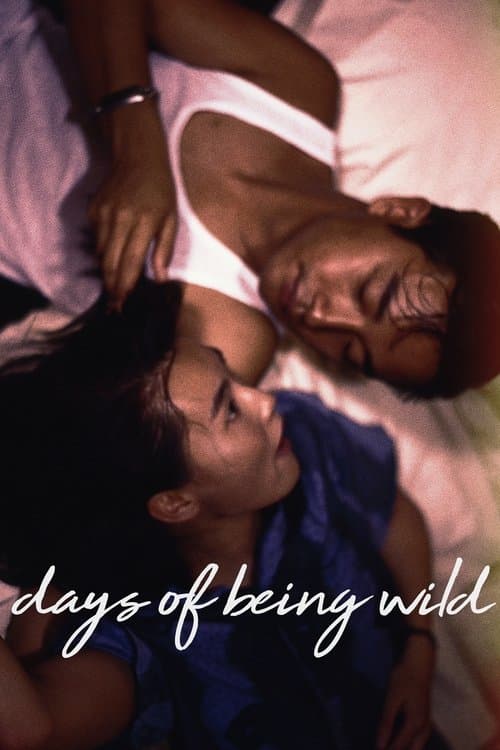 Locandina di Days of Being Wild