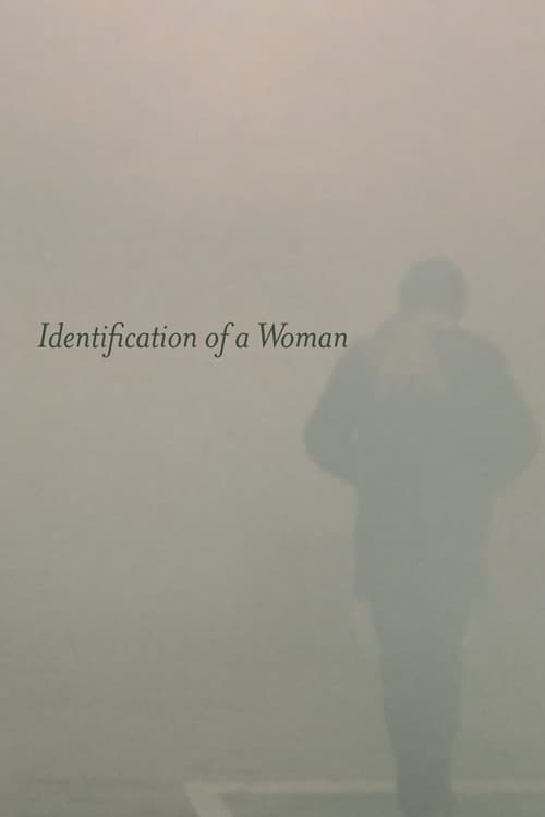 Locandina di Identificazione di una donna