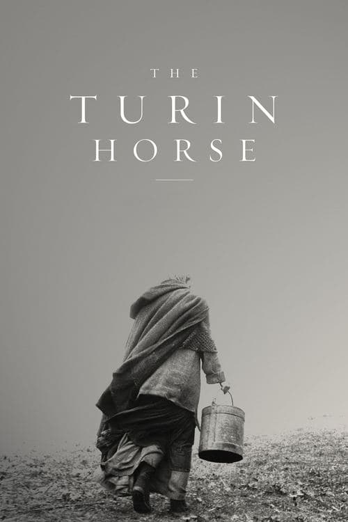 Locandina di Il cavallo di Torino