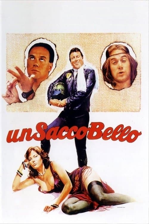 Locandina di Un sacco bello