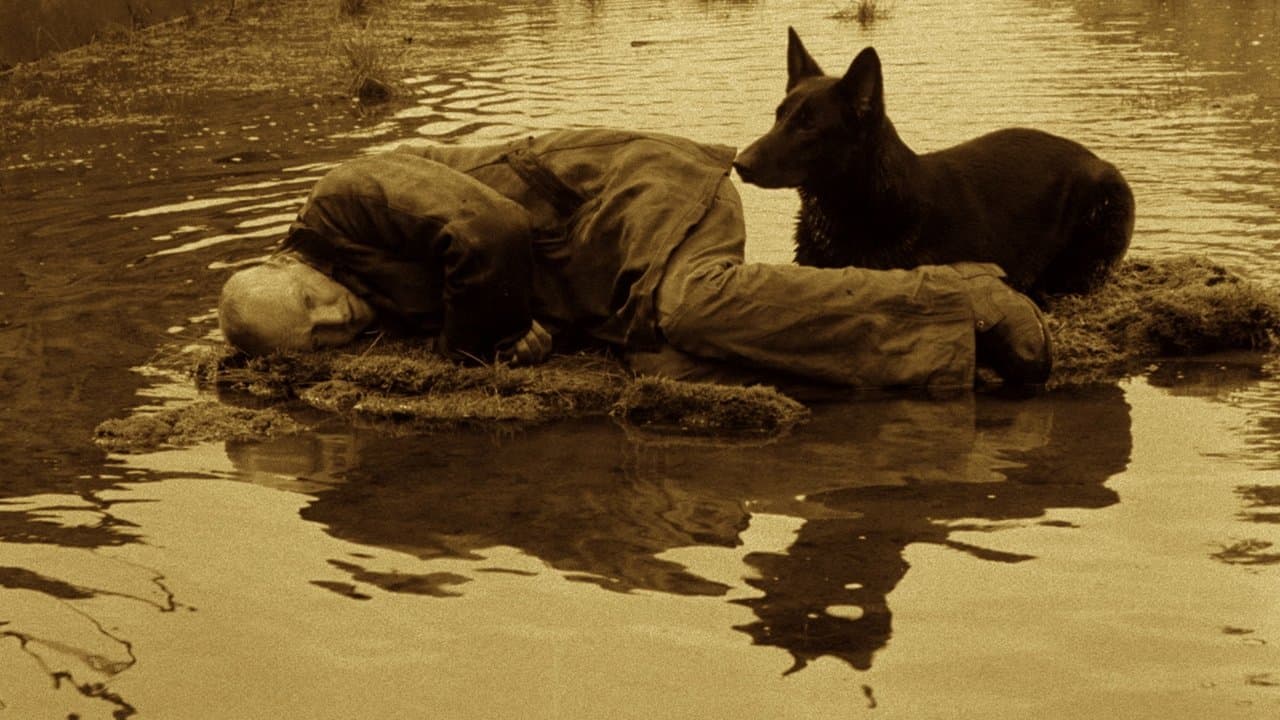 Il mondo fuori dalla Zona, filmato in un seppia spento.